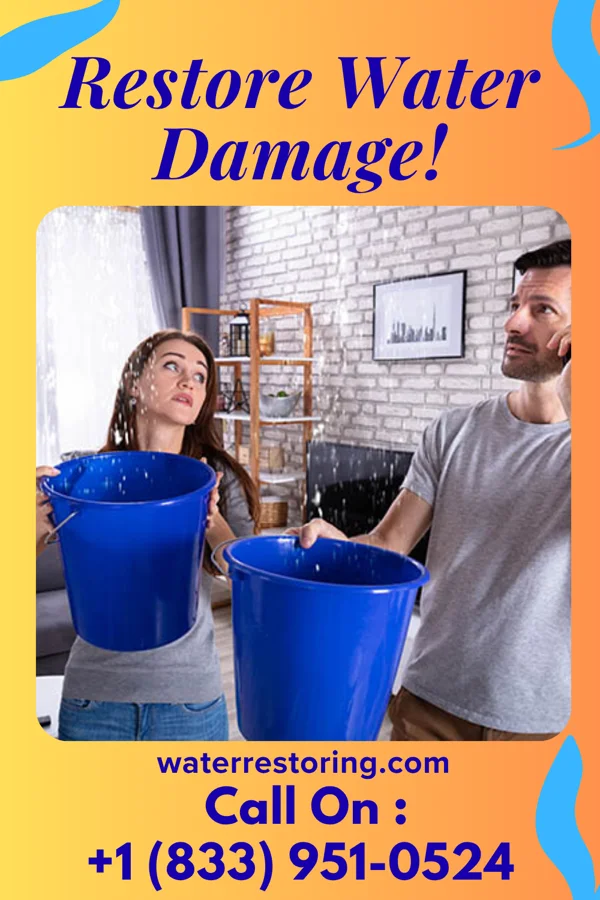 water restoration Western Water Damage & Associates Pigeon Creek