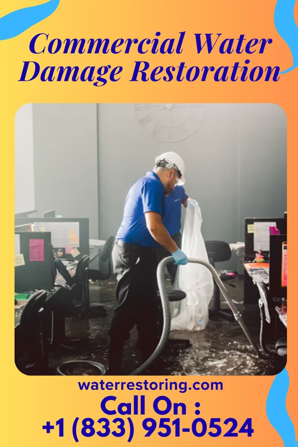 Commercial Water Damage Restoration in Pigeon Creek, OH