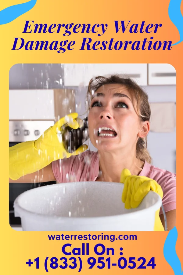 Emergency Water Damage Restoration in Pigeon Creek, OH