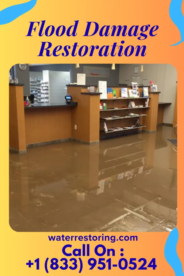 Flood Damage Restoration in Pigeon Creek, OH