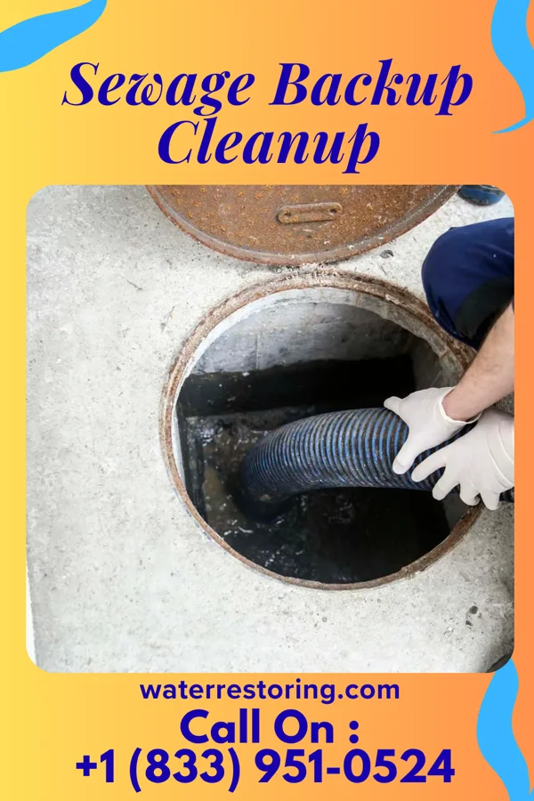 Sewage Backup Cleanup in Pigeon Creek, OH