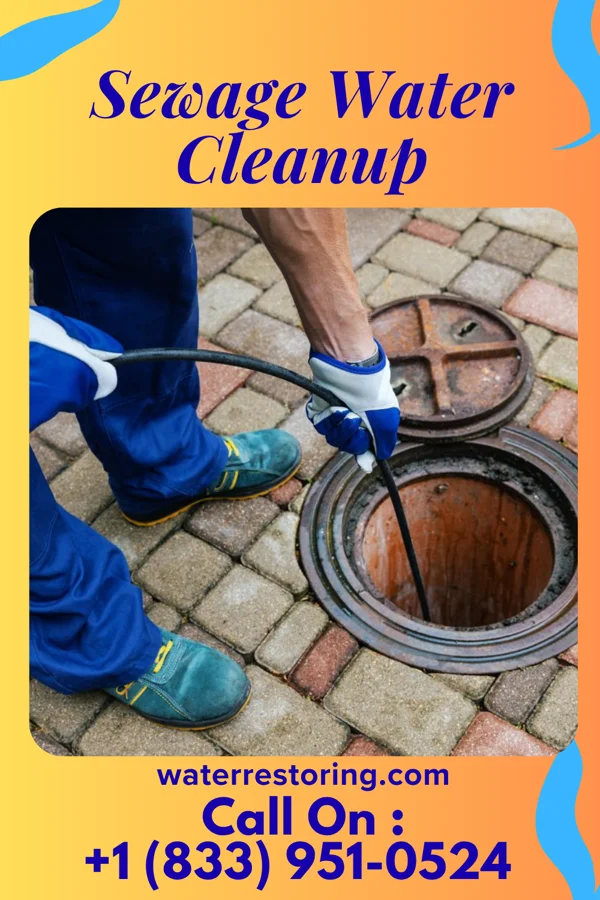 Sewage Water Cleanup in Pigeon Creek, OH