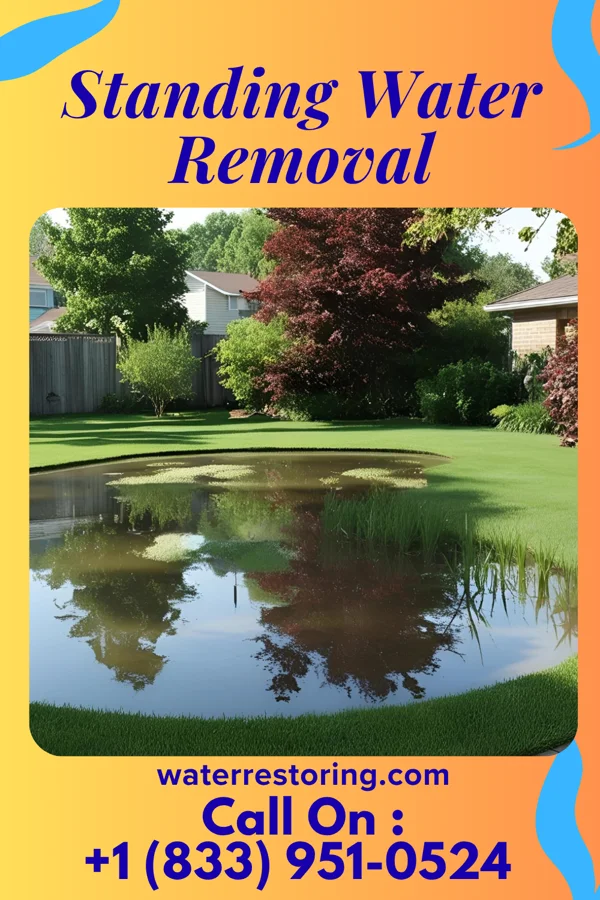 Standing Water Removal in Pigeon Creek, OH